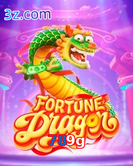 789g  jogo do dragão da sorte